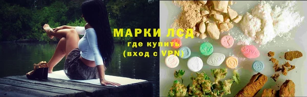 ПСИЛОЦИБИНОВЫЕ ГРИБЫ Аркадак