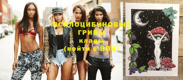 ПСИЛОЦИБИНОВЫЕ ГРИБЫ Аркадак