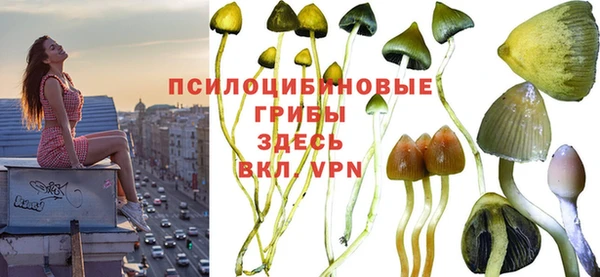 ПСИЛОЦИБИНОВЫЕ ГРИБЫ Аркадак