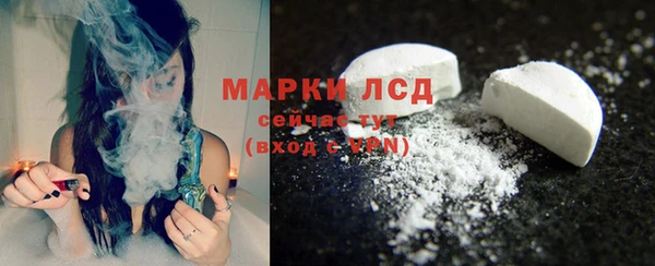 ПСИЛОЦИБИНОВЫЕ ГРИБЫ Аркадак