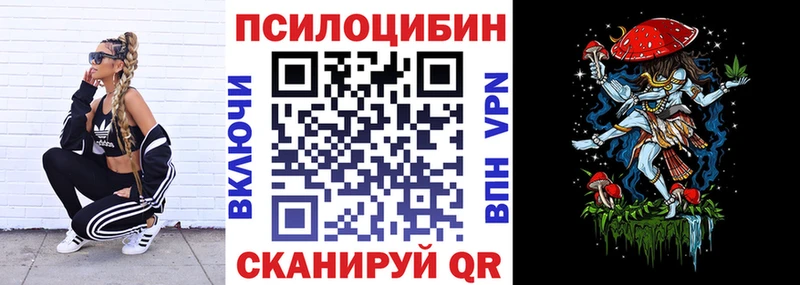 сколько стоит  Пролетарск  Псилоцибиновые грибы Psilocybe 
